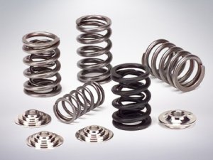 Single Valve Spring